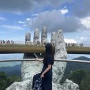 썰 ( +바나힐 입장권, 바나힐 실버 와우패스, 선월드, 알파인코스터, 해산물 레스토랑 PHUI, 유니스파)