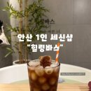 힐링바스 | [안산] 힐링바스 : 안산 고잔 여성전용 1인 세신샵, 힐링이 필요할 때🎶