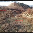 먹망천 이미지