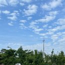 매향 오토 캠핑장 이미지