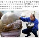 바다잔치 - 노원구 동일로241길 36 | 바다잔치