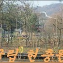 아도코리아