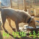 아르고스 이미지