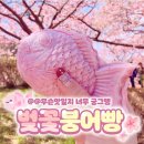 벚꽃붕어빵