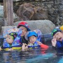 온천스파벨리 이미지