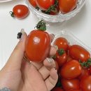 방울토마토