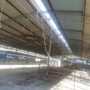 여수목장 이미지