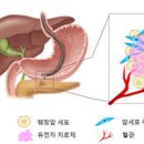 아데노바이러스 증상/원인/치료/예방 ＜아데노바이러스＞ 감염 대비법 이미지