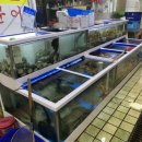 상진수산 이미지