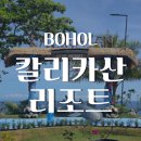 오렌지다이브리조트 | 보홀 칼리카산 다이브 리조트 2박 후기 (조식, 나팔링)