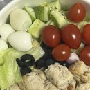 파리바게뜨 수서점 | 3월 4주 / 막 따뜻해져서 말이 진짜 길어진 일기 보거나말거나