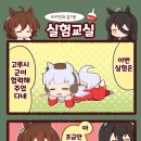 863017 네이버블로그
