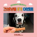 견생냥품24시무인펫샵남양주도농역점