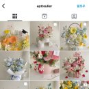 앞뜰리에 이미지