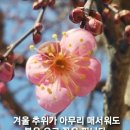 가야-15 이미지