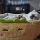 울산전기조명전업사 이미지