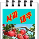 라온쇼핑몰