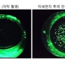 비엔텍 이미지