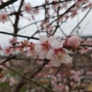 초원의집 민박 이미지