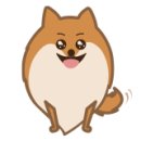 토토펫 이미지