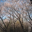 범천2동-14 이미지