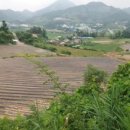 행복한전원공인중개사사무소 이미지