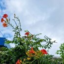 숭인1통경로당 이미지