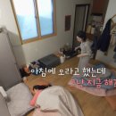 얄미운여우