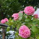 협성경복중학교 이미지