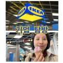 [한국 꿀팁] 이케아 기업 탐방 + 인턴십 모집 정보‼️6월 7일까지 〰마감임박🚨