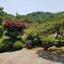 대지부속 이미지