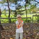 풀잎목장 이미지