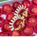 영신농원 이미지