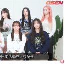 코지패션 이미지