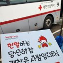 강원특별자치도지사 고성군협의회 헌혈 캠페인과 헌혈나눔 봉사활동 이미지