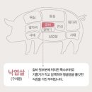 보성공구 이미지