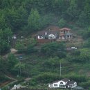 아름다운 산책 이미지