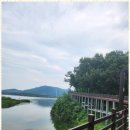 해결만족행정사 이미지