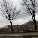 영락공원(주차장) 이미지