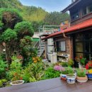 섬꽃향기 민박 이미지