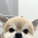 아트댕 이미지