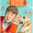 쎌리나 | 헬 난이도 강아지 돌보기(리트리버의 실체...)