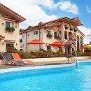 쁘띠 토마토 이미지