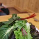 명성쌈밥 이미지