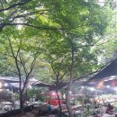 계곡산장 아래 이미지