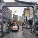 비오는날 수채화 | 경희대 벚꽃엔딩 : 비 오는 날의 수채화