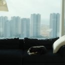 프렌치베리