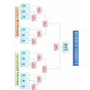 가창중학교 이미지