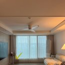 [남사화훼단지] 에르베플라워 아울렛 다녀온 후기 | 아스파라거스 호프셀렘 토분 구매