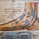 길동한의원 이미지